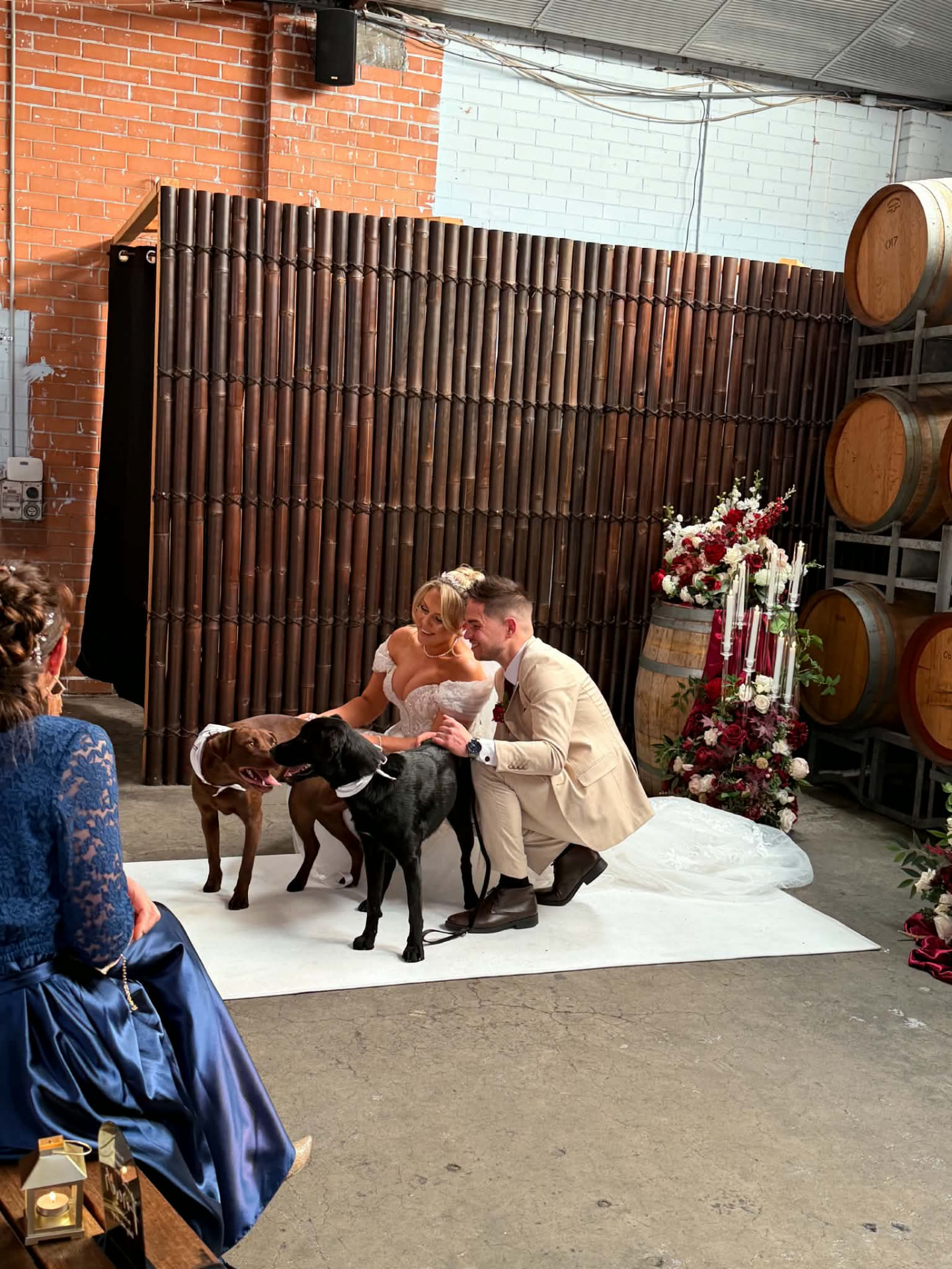 Bride and groom kneeling with their two dogs during an indoor wedding ceremony